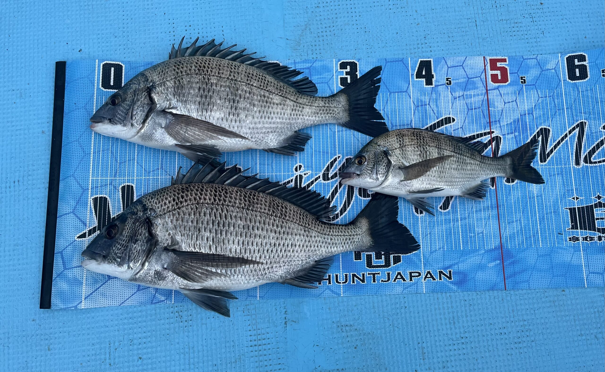 11/4             松阪市　　　平井様