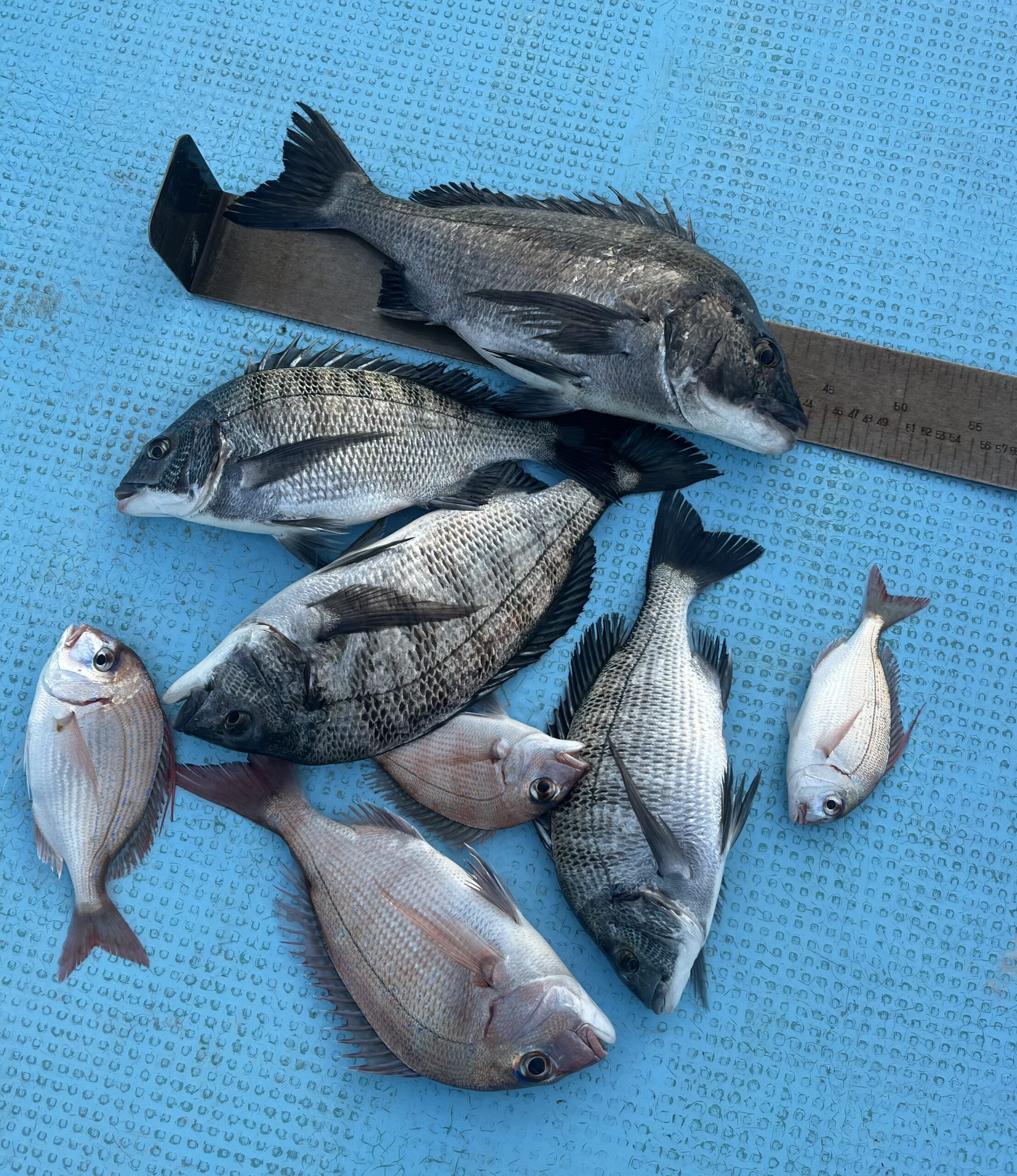 1/4         松阪市　　　平井様